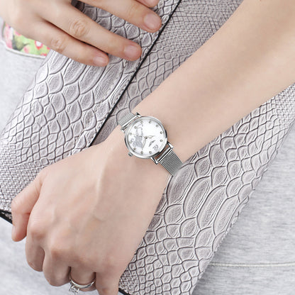 Mesh belt diamond watch