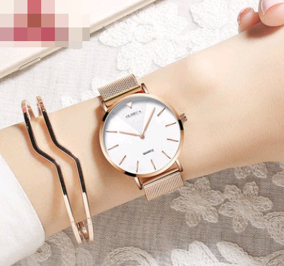 Simple fashion ladies watch waterproof mesh with quartz watch custom watch female