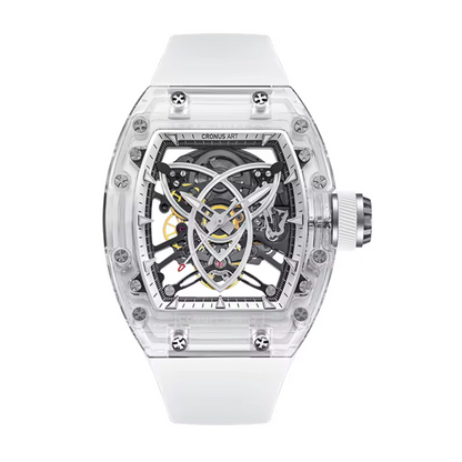 CRONUSART Obsidian Black Luxury Automatic Mechanical Watch