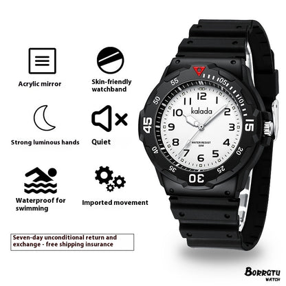 Men's Sports Luminous Pointer Quartz Watch